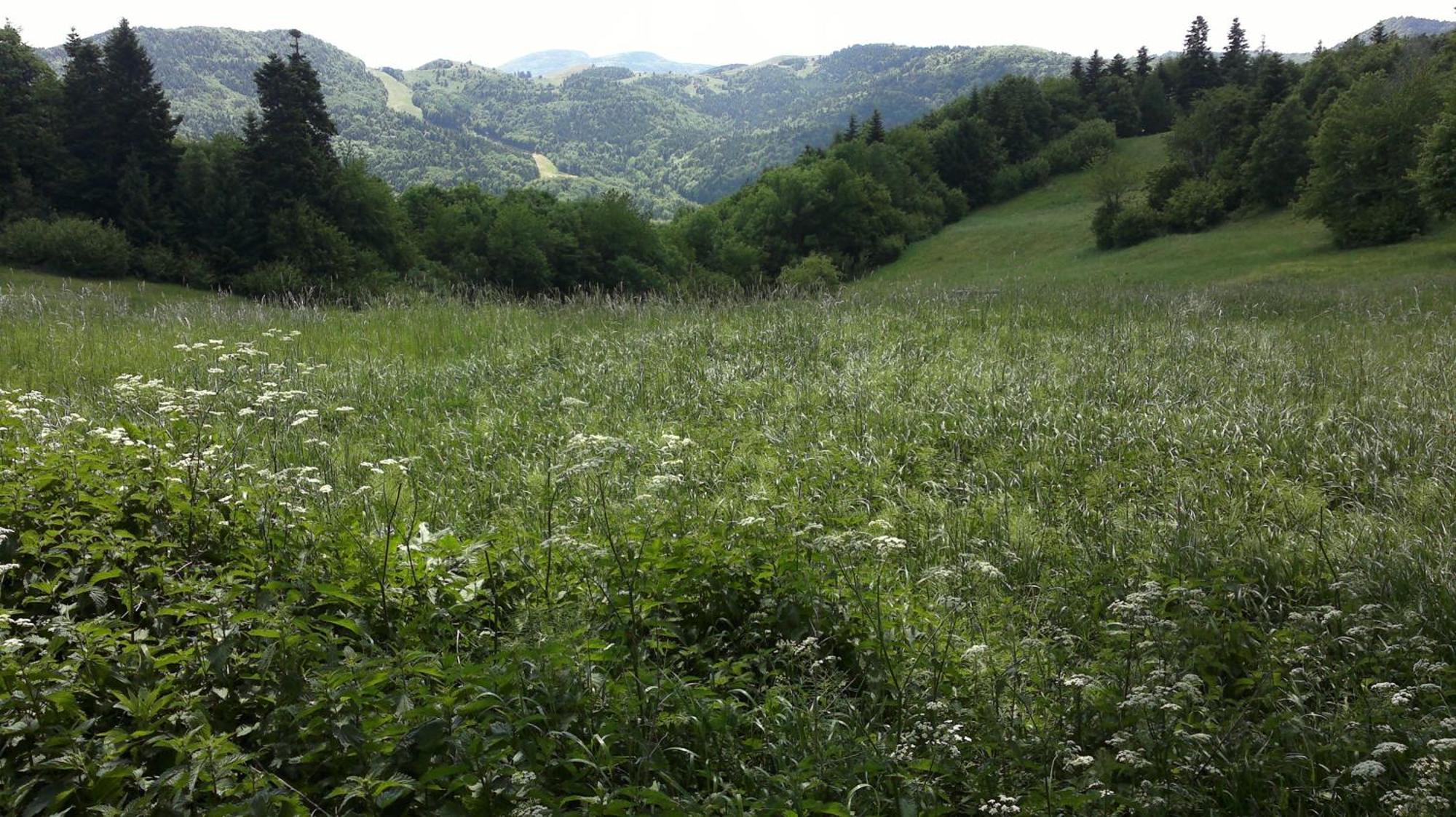 Apartmany Weissov Dom Banská Štiavnica Extérieur photo